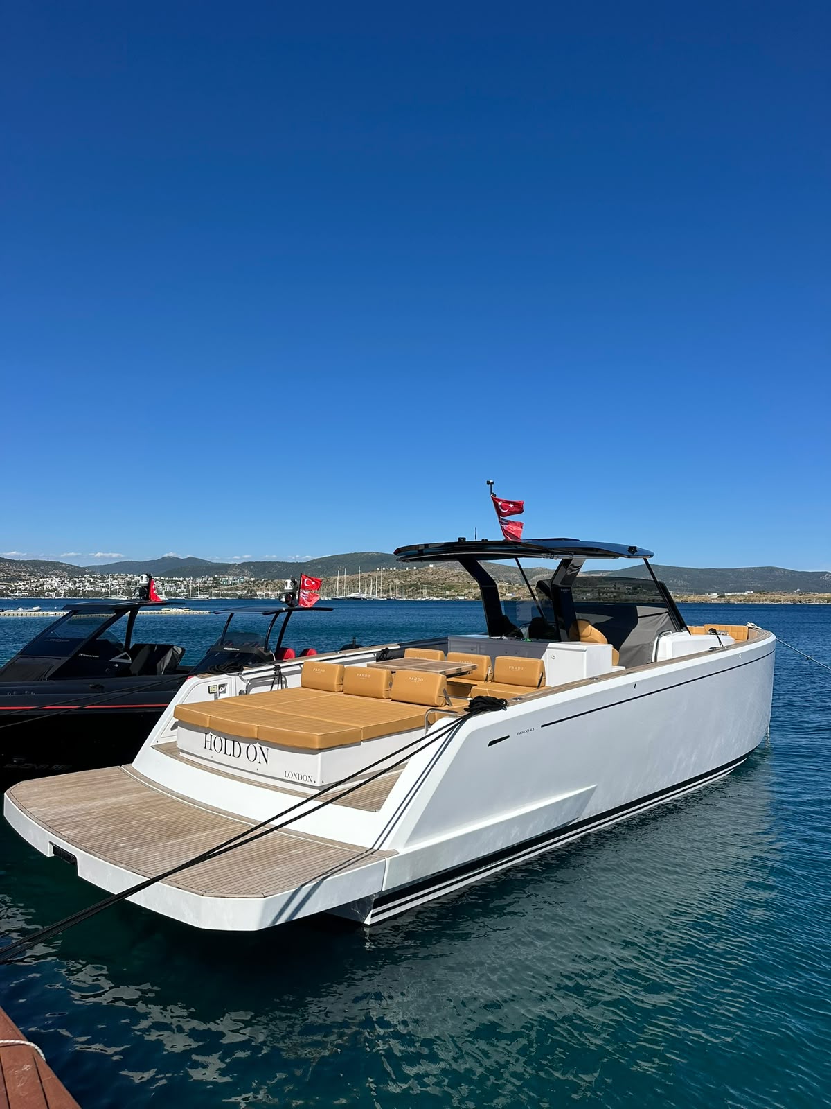 PARDO 43